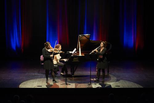 AJAM-Trio-Desdémone-Saverne-2015-by-graigue.com-11