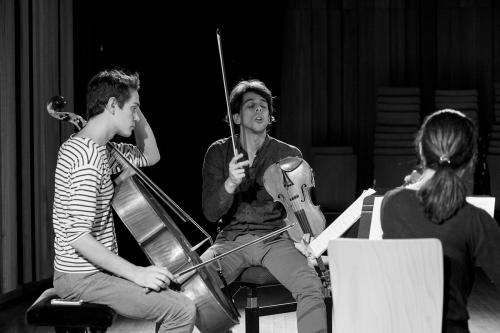 AJAM-Trio-Sacher-Strasbourg-2015-by-graigue.com-01