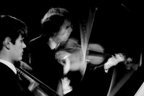 AJAM-Trio-Sacher-Strasbourg-2015-by-graigue.com-24
