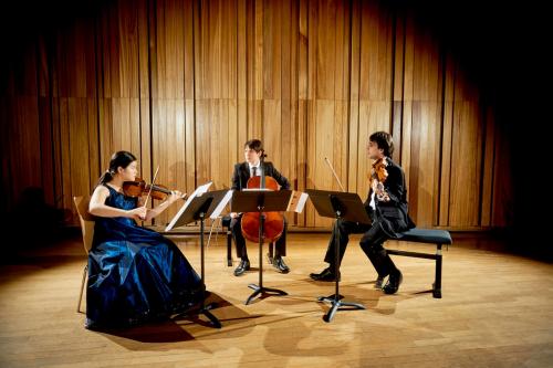 AJAM-Trio-Sacher-Strasbourg-2015-by-graigue.com-36