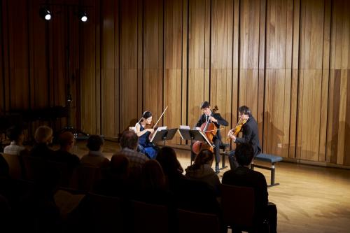 AJAM-Trio-Sacher-Strasbourg-2015-by-graigue.com-64