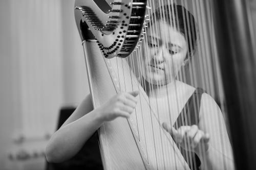 AJAM-Duo-Ginkgo-Colmar-2016-by-graigue.com-03
